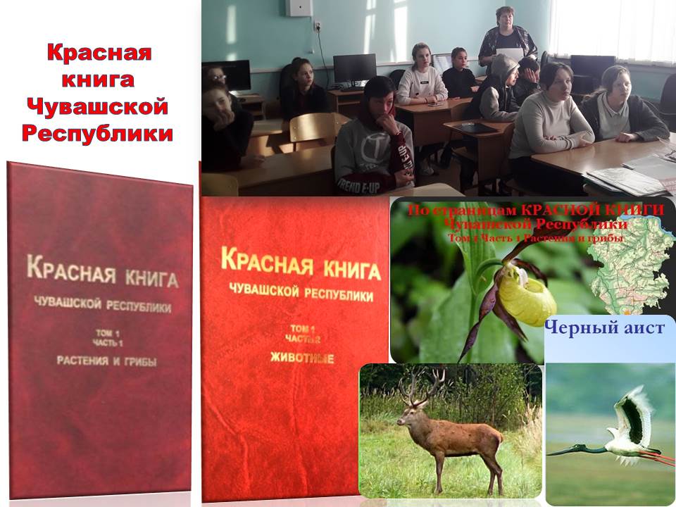 Проект красная книга чувашии